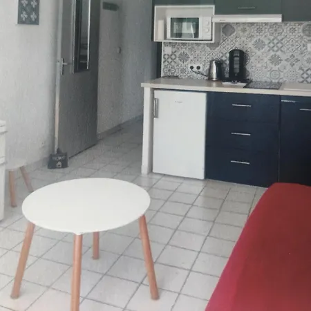 Au Calme T2 Refait A Neuf, 2 Velos, Avec 2 Piscines, 400 M De La Daire Le Grau-du-Roi