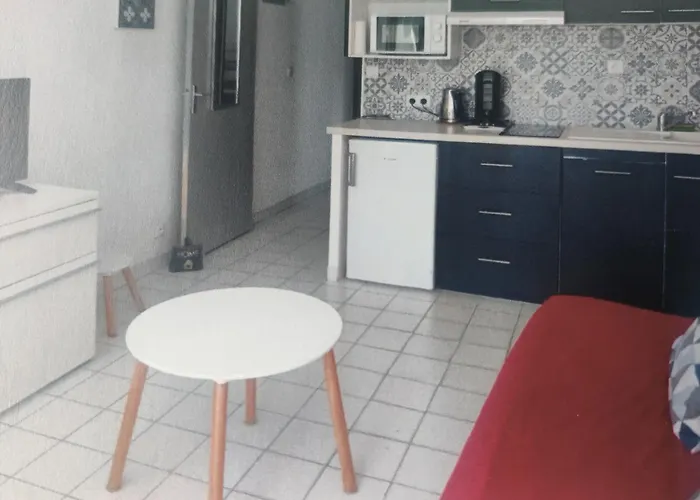 Au Calme T2 Refait A Neuf, 2 Velos, Avec 2 Piscines, 400 M De La Διαμέρισμα Le Grau-du-Roi